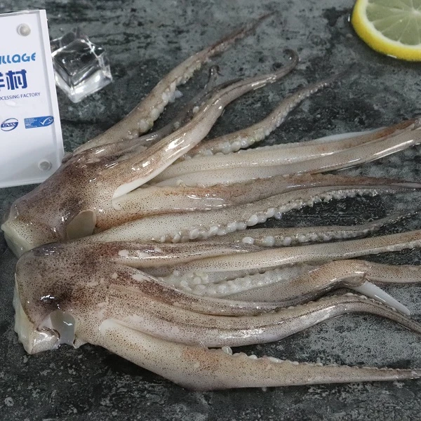 Shandong Ocean Village Food New season Factory Price Squid Tentacle Illex Squid Tentacle