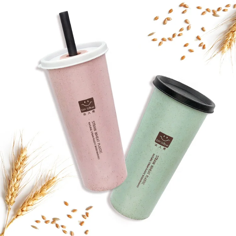 Wheat Straw Water Cup with Straw Wholesale Eco Friendly Big Size 450ml Water Bottles Creative Water Mug Plastic Outdoor Travel
