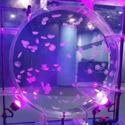 2019 новый резервуар для Медузы