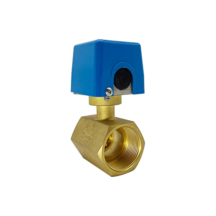 Pool Flow Switch For Water Water Flow Sensor Switch Straight-through Baffle Flow Switch