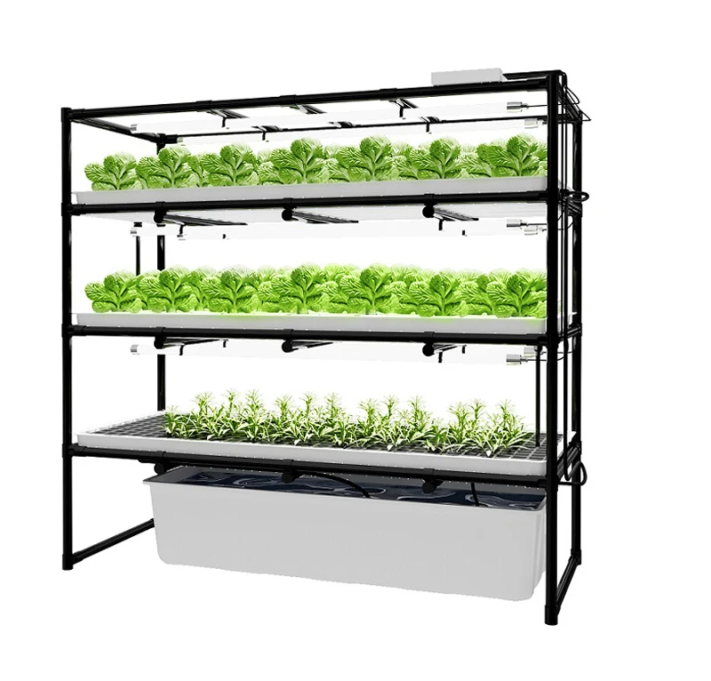 organic indoor farming microgreens diy hydroponic vegetable growing rack with led grow lights