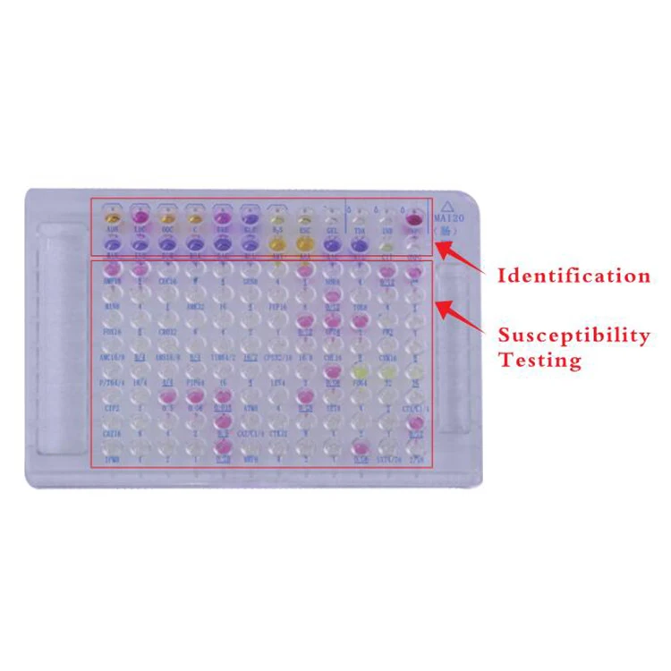 Important Clinical Microorganism Non-Fermenter Identification And AST Drug Resistance Test