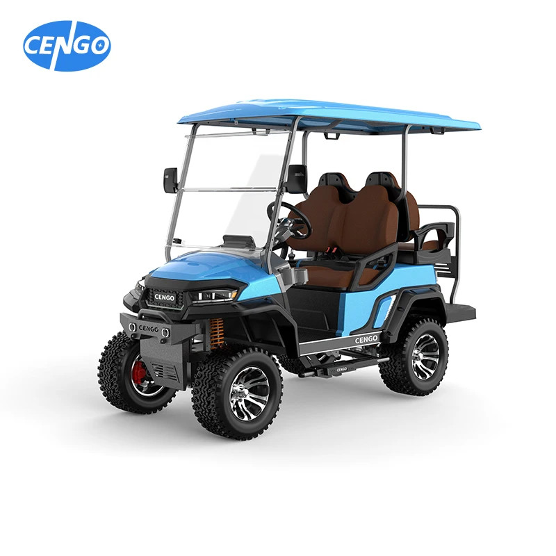 Lifted Buggy 2 4 6 8 Seat Club Car Electric Lithium Battery Golf Buggy Hunting Cart with DOT CE
