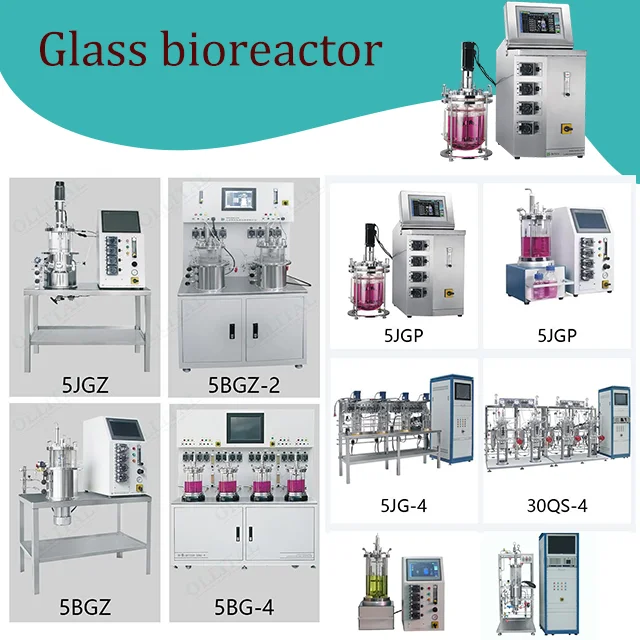 OLLITAL  Perfusion Agitator Tanque Bioreactor 30l 350l 3000l 100001 Bacteria Sten Cells
