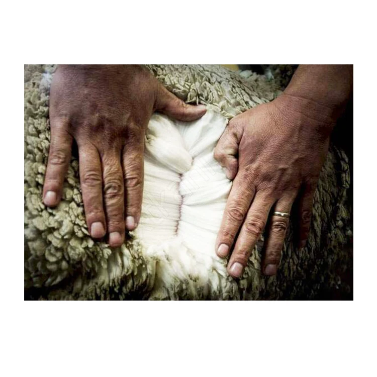 100% Merino Wool Factory Price Fabric & Textile Raw Material Merino Wool 100% Merino Wool Felt Fabric