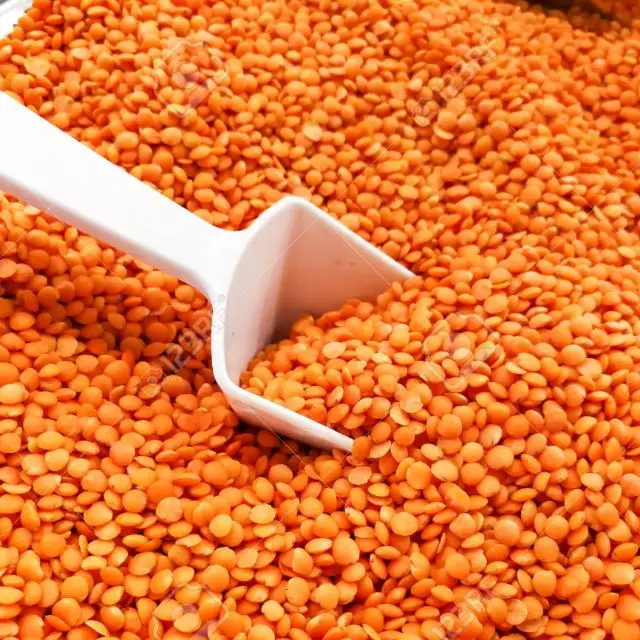 
Lentils Super Quality Green Yellow Red Split Yellow Split Peas (Lentils) 