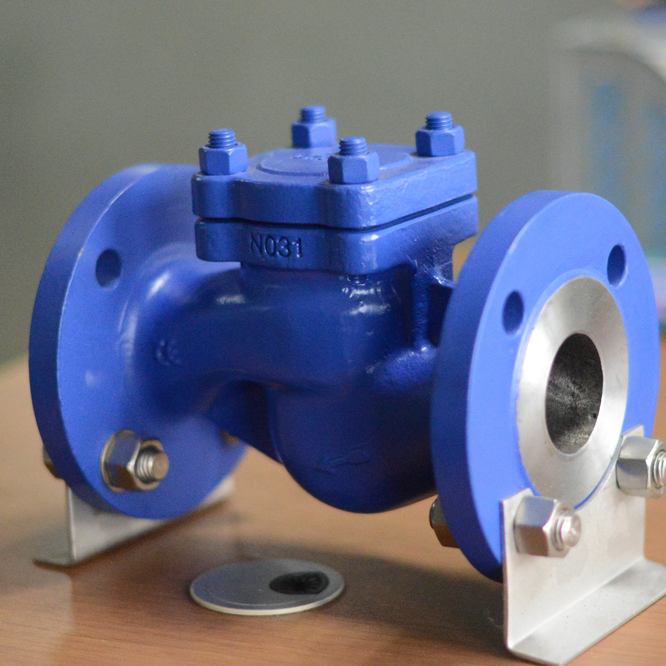 
DN65 FLANGE WCB BODY MATERIAL DIN STANDARD Lift Check Valve 