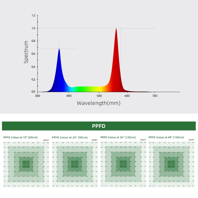 Hydroponic Growing System For Cucumbers Tomatoes Agricultural Indoor Plant Growth LED Grow Light for Greenhouse