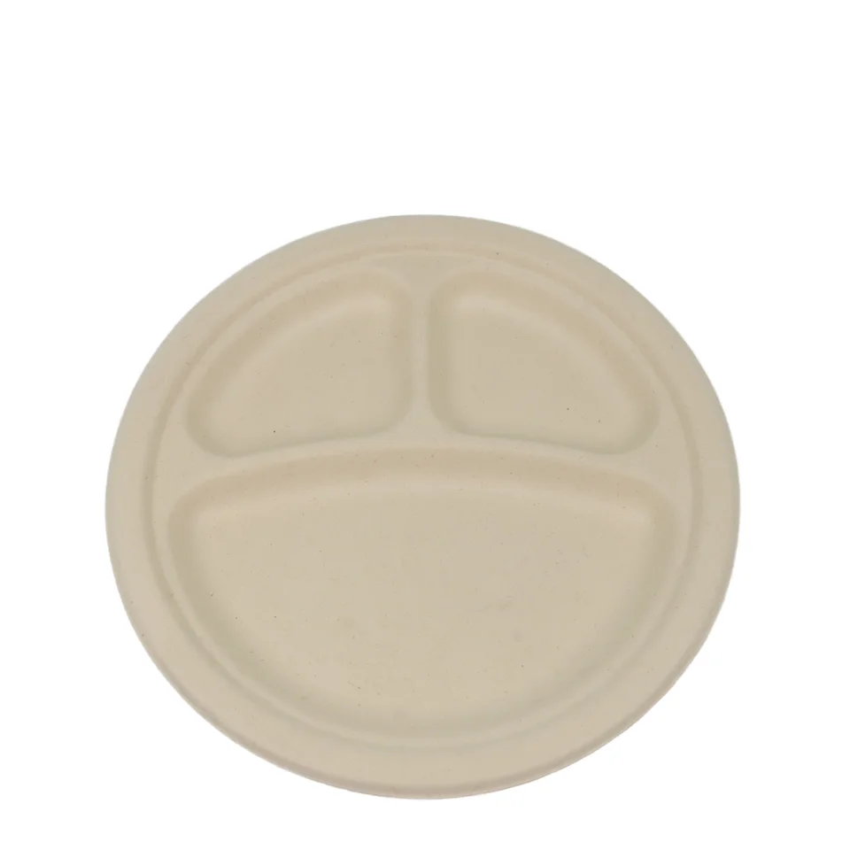 Disposable Tableware Tray Bagasse Material Machine-made Party Disposable Container and Tableware for Paperless Parties