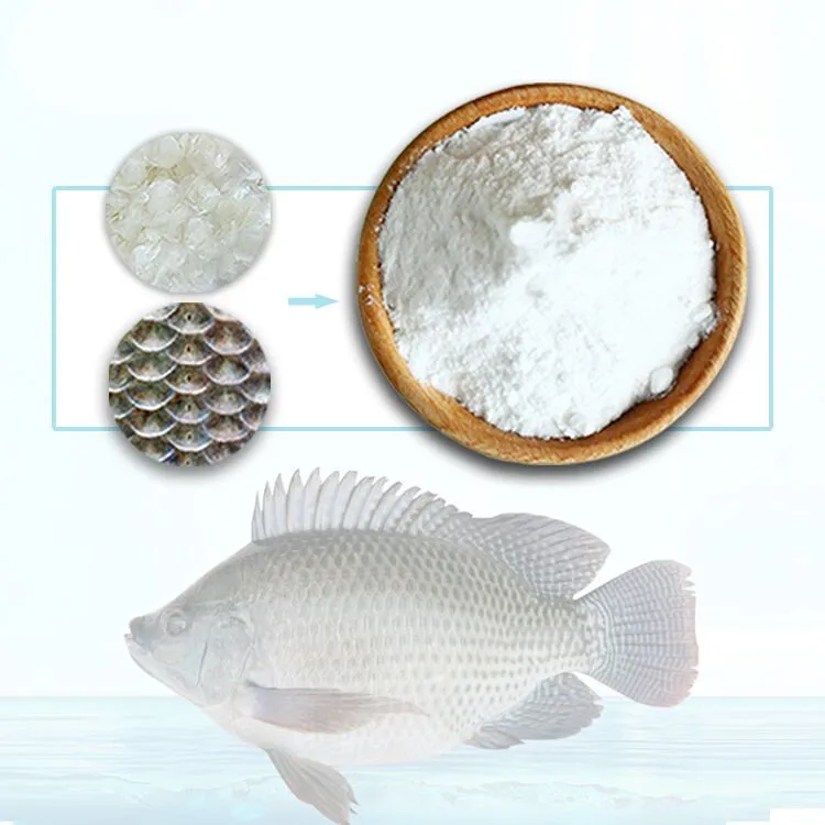 
Best Price 95% Protein Content Collagen Peptides Powder for Beauty Care 