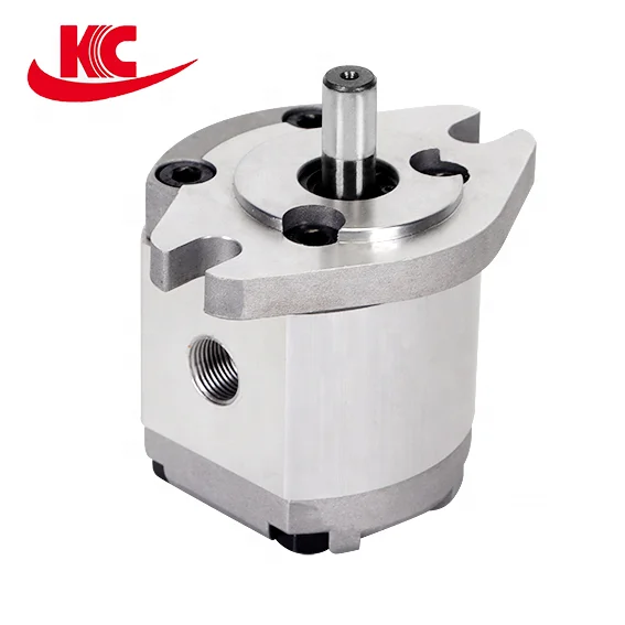 Gear pump manufacturer hydraulic pump maintenance oil pump customization