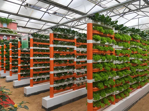 Multi-span venlo greenhouse hydroponic growing systems