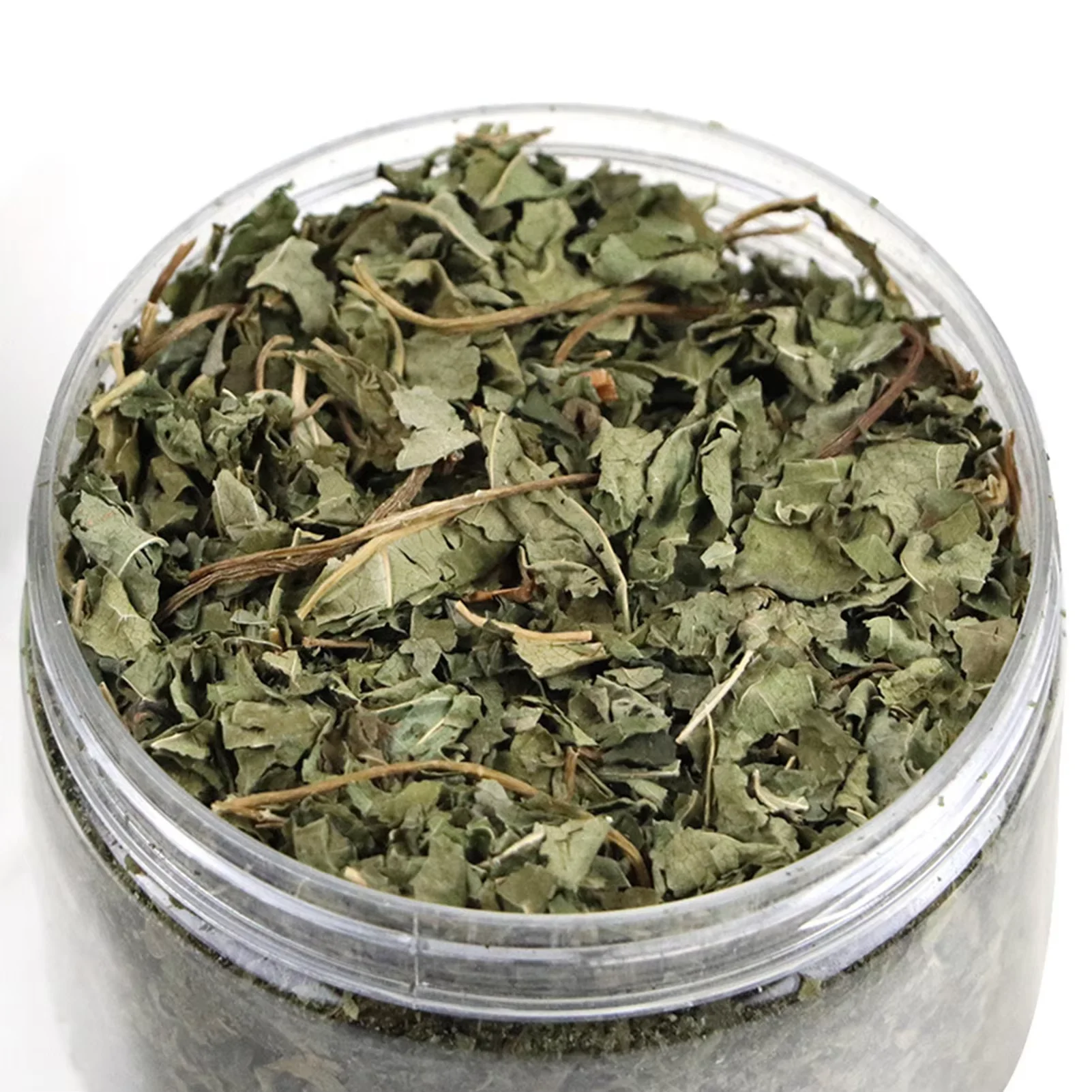 HOT SELLING Organic Natural Catnip Pet Chew Toy Mint Grass Menthol Sprinkled on Kitten Catmint for Cats Supplies
