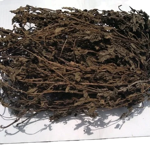 
Dried black jelly leaf for processing / mesona chinensis / dried grass jelly leaves 