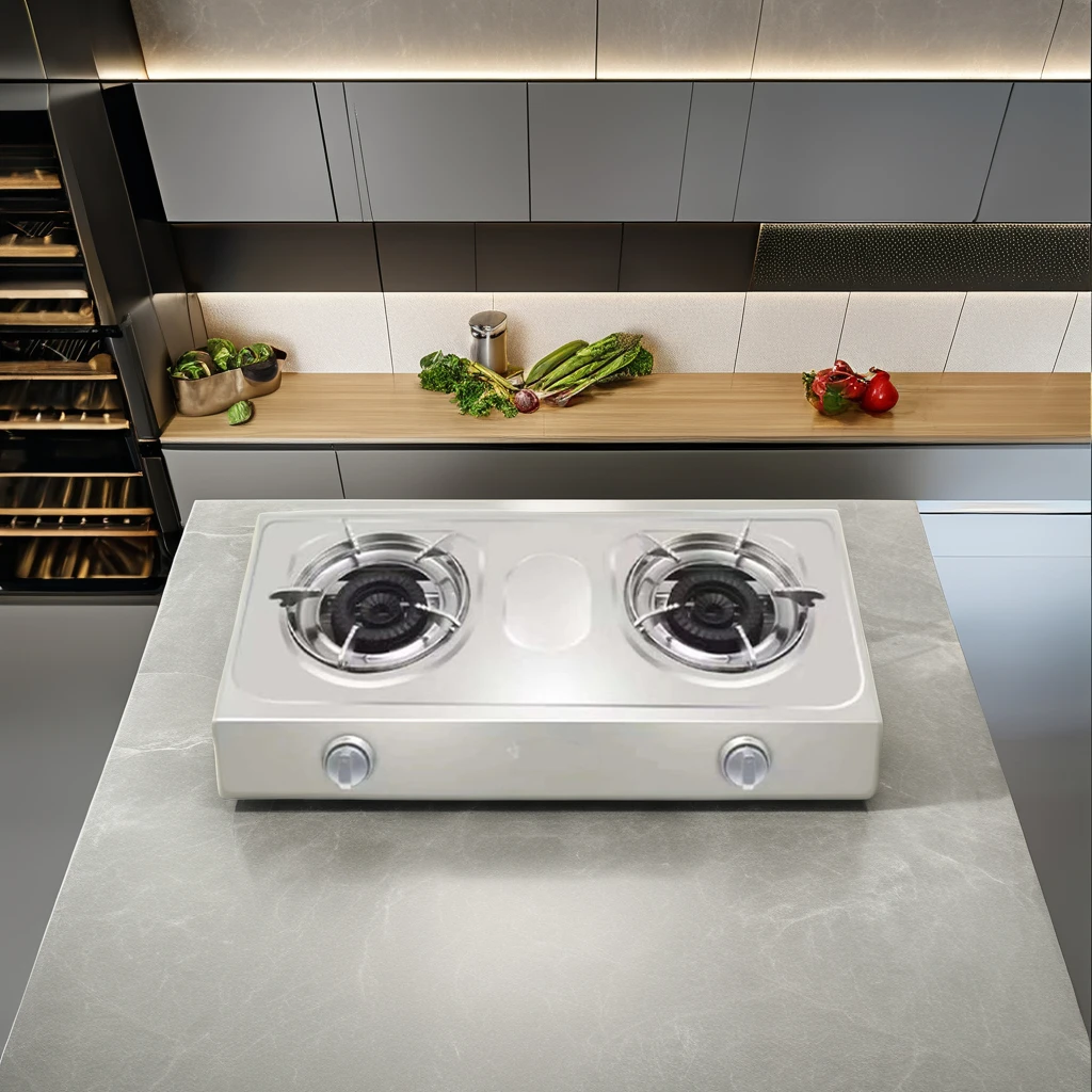 2-Burner Stainless Steel Gas Cooktop with Auto Ignition Household Gas Stove for Home Cooking