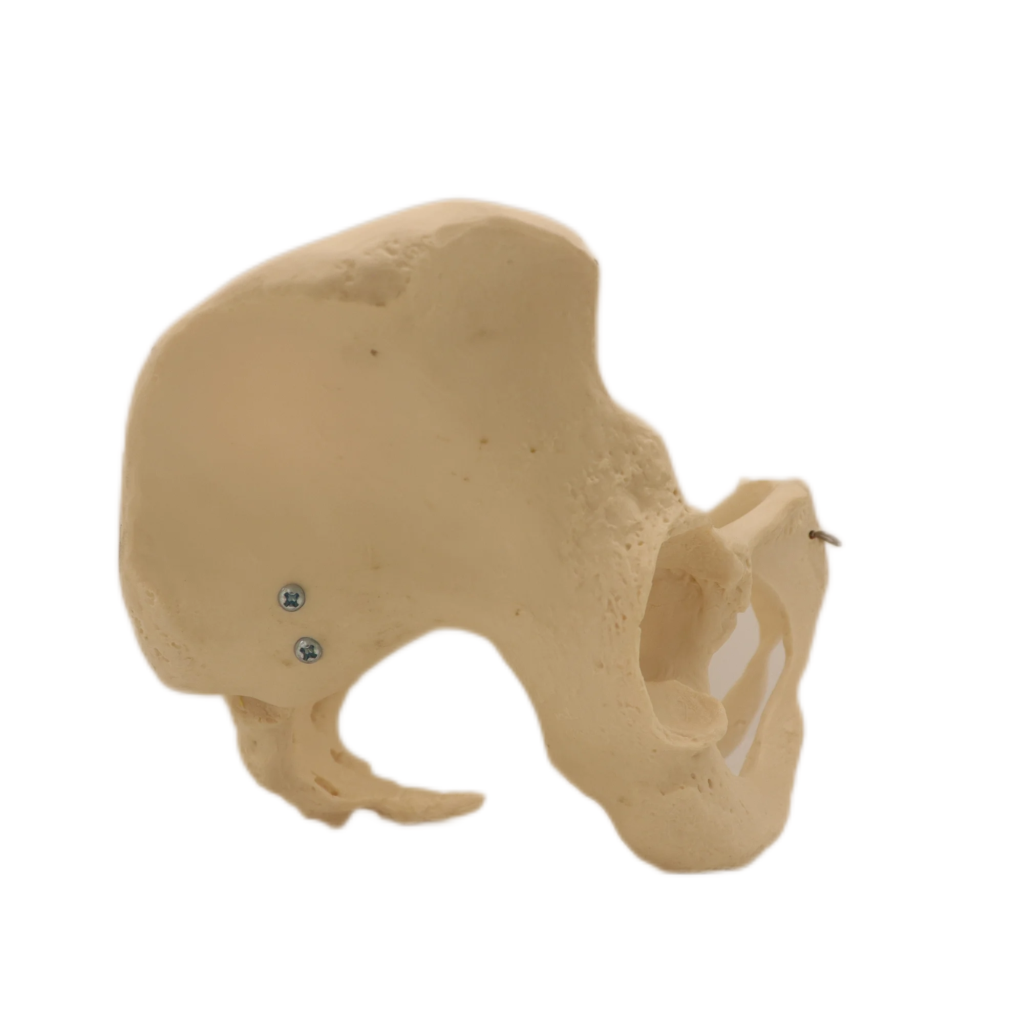 Hot Sale Products Neck Traction High Quality Cervical Collar Neck Brace Support Collar For Neck Fixation