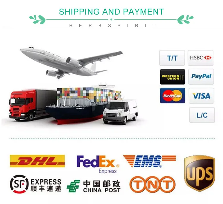 Ginsenoside 5%~80%  CAS 14197-60-5  Ginseng Root Extract   Ginseng Stem and Leaf Extract  Ginsenoside Powder