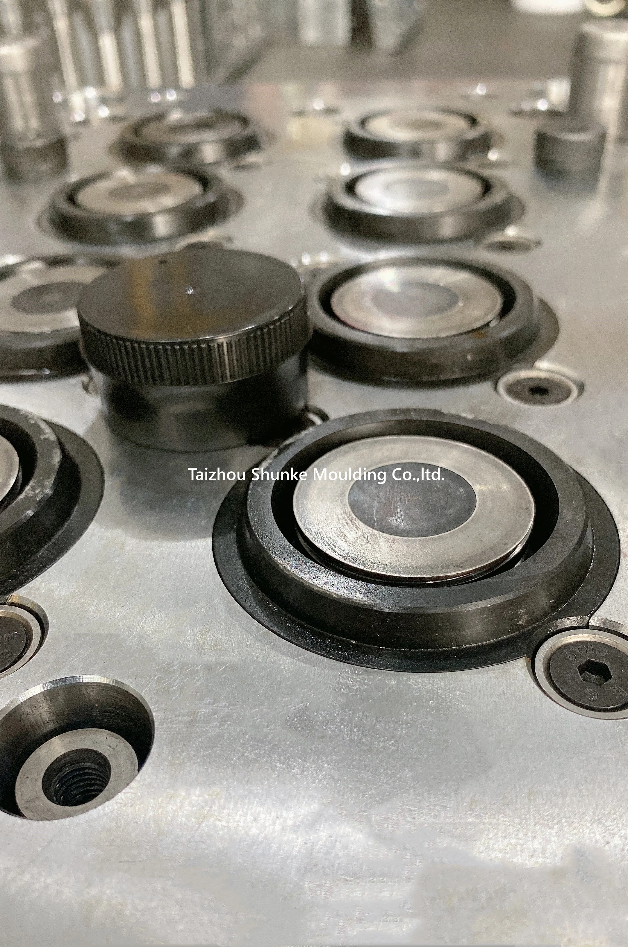 cap mold medicine bottle caps injection mold PET bottle cap mold