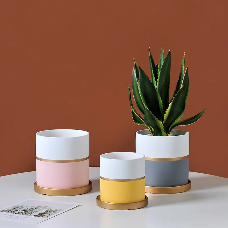 INS Nordic straight gold line light luxury belt gold tray fleshy green plant tiger skin mint Gardenia Ceramic flowerpot