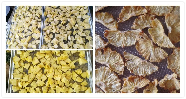 Solar vegetable dryer full automated dry fruit production line dried fruit line food dried production line