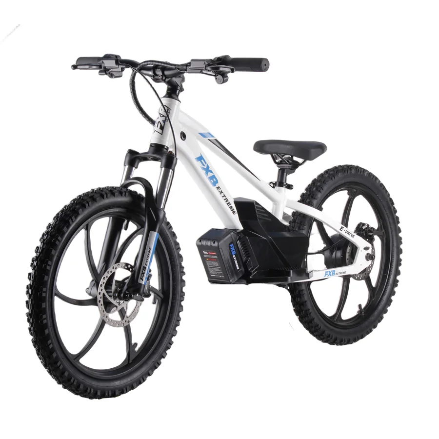 Best BMX Race Vehicle 400w off Road 20 Inch Off-road Tire Racing Electric 36V 5AH Motorcycle Electric Bike Emotorcycle for Kid