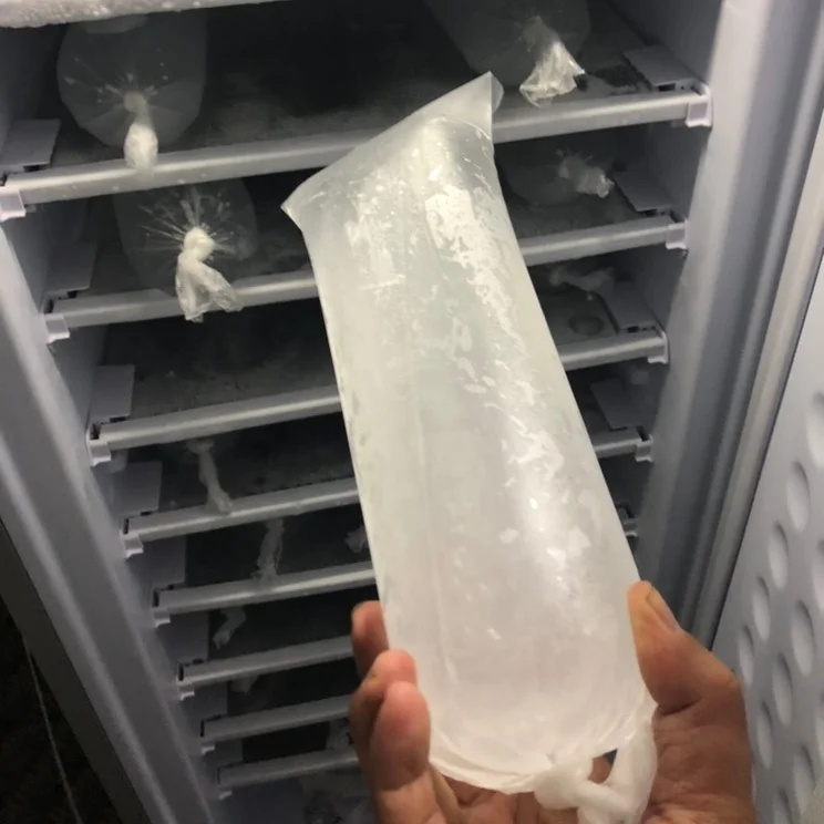 198L Solar Ice Maker AC/DC Adapter 24V Commercial Solar Ice Block Solar Panel Gel Battery 70kg/24 Hours Ice Making Machine