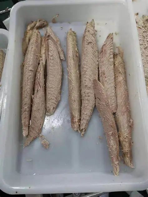 Cost - effective Nutritious Fresh Frozen seafood factory priceTuna Frozen seafood BQF 7.5kg Bonito for sale