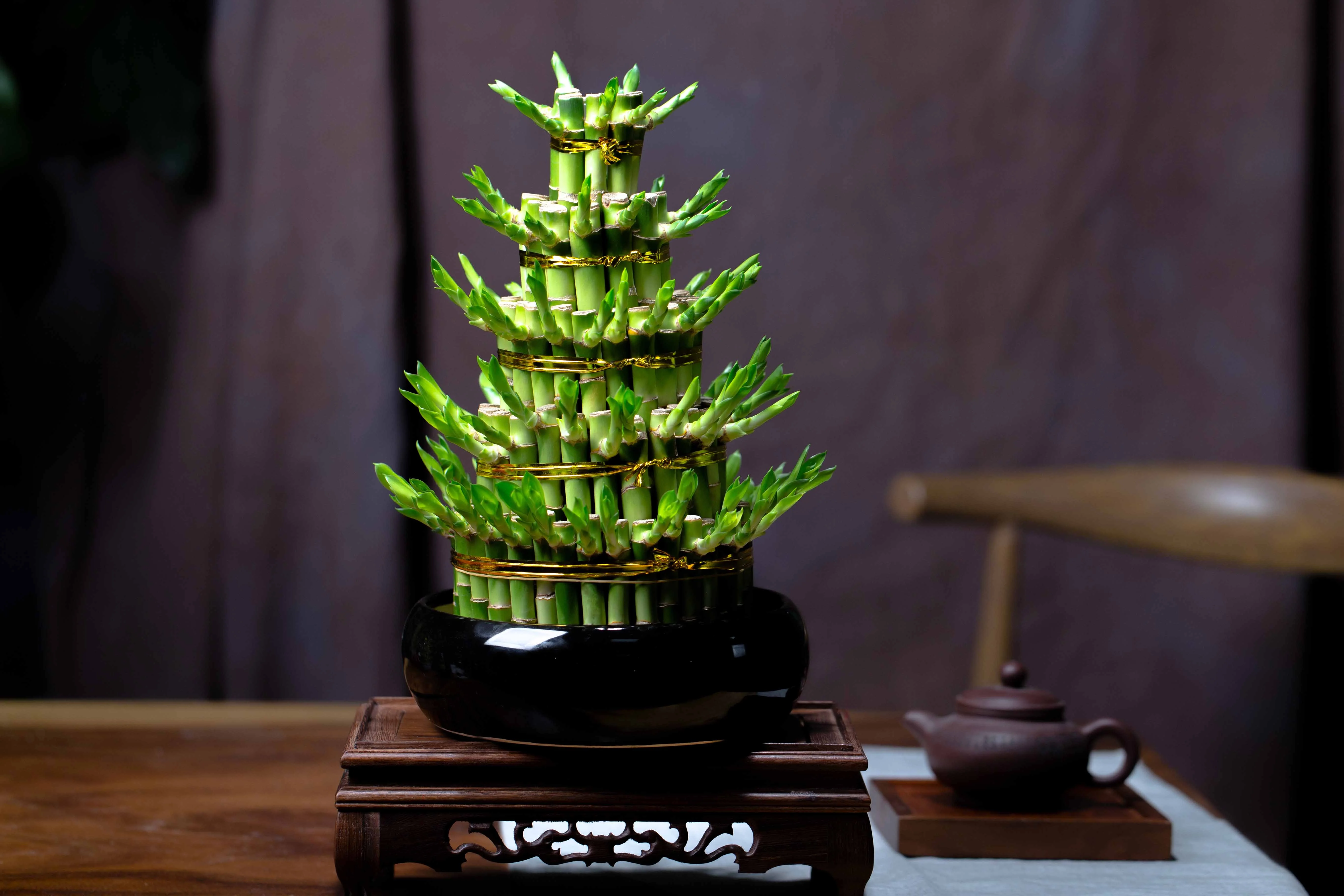 Крытый китайский бамбуковый завод Две башни счастливый бамбук