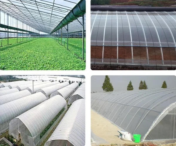 China High Quality Greenhouse Plastic Woven Poly Greenhouse Plastic and Transparent Greenhouse Plastic for Vegetable Garden