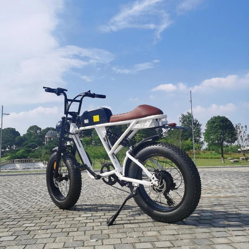 1000 Вт 48 в супер толстые шины 73 ретро Электрический велосипед Ebike Быстрая доставка большой радиус действия 21