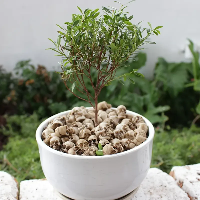 Изготовленный на заказ Хэллоуин украшение черепа 3D печатная модель скелета быстрое прототипирование полимерная печать SA прототип Услуги обработки