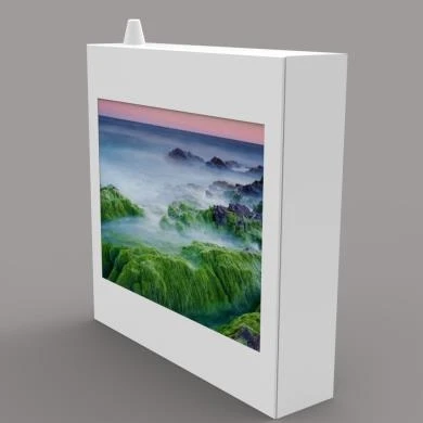 15 дюймов Открытый водонепроницаемый окна перед ЖК-дисплей IP65 водонепроницаемый ударопрочный монитор высокой яркости даже при ярком солнечном свете для чтения