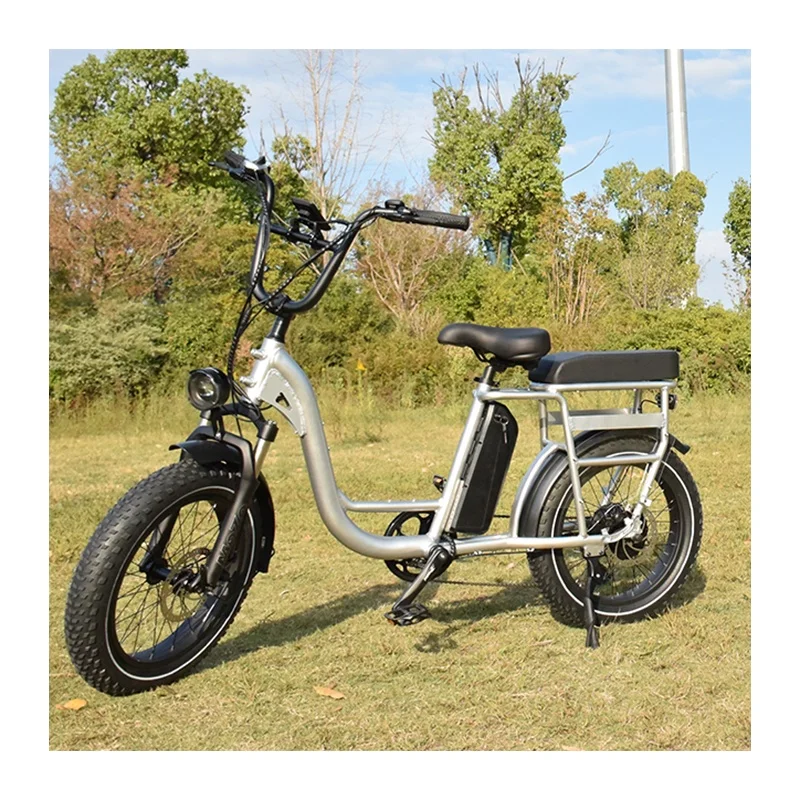 RaiderRunner-34F Быстрая доставка; Партия из 20 дюймов электрический велосипед с шинами Электроэнергетическая Электрический грузовой способный преодолевать Броды для семейного использования