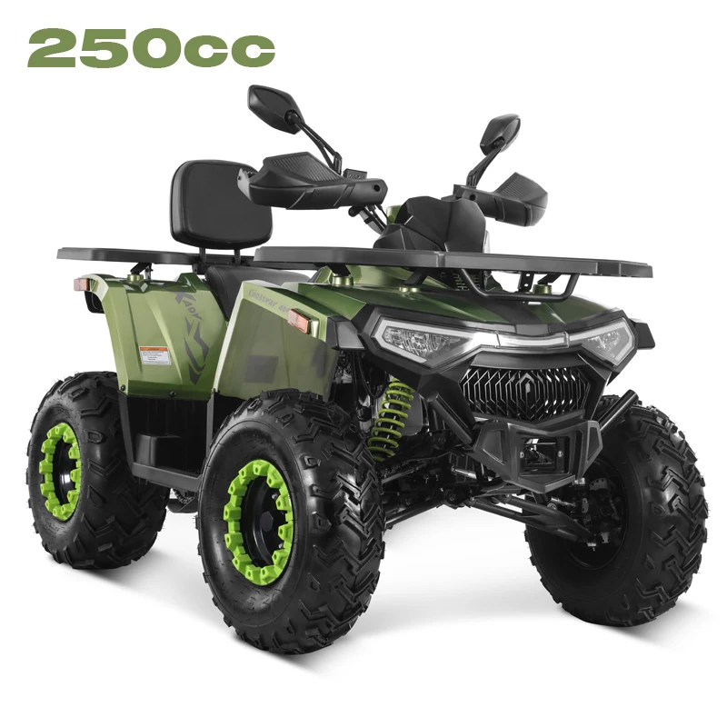 Мотор Tao 2025 новый дизайн цепной привод 4x2 квадроцикл 250cc дешевый китайский оптовая продажа cuatrymoto ATV