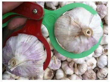 Best price new crop fresh garlic original supplier full dried goods garlic from garlic factory