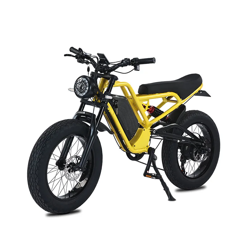 High Power Fat Tire E-bike Frame Electric Dirt Bike Adult Off-road Motorcycles Double Battery Design 750W Electric Bicycle