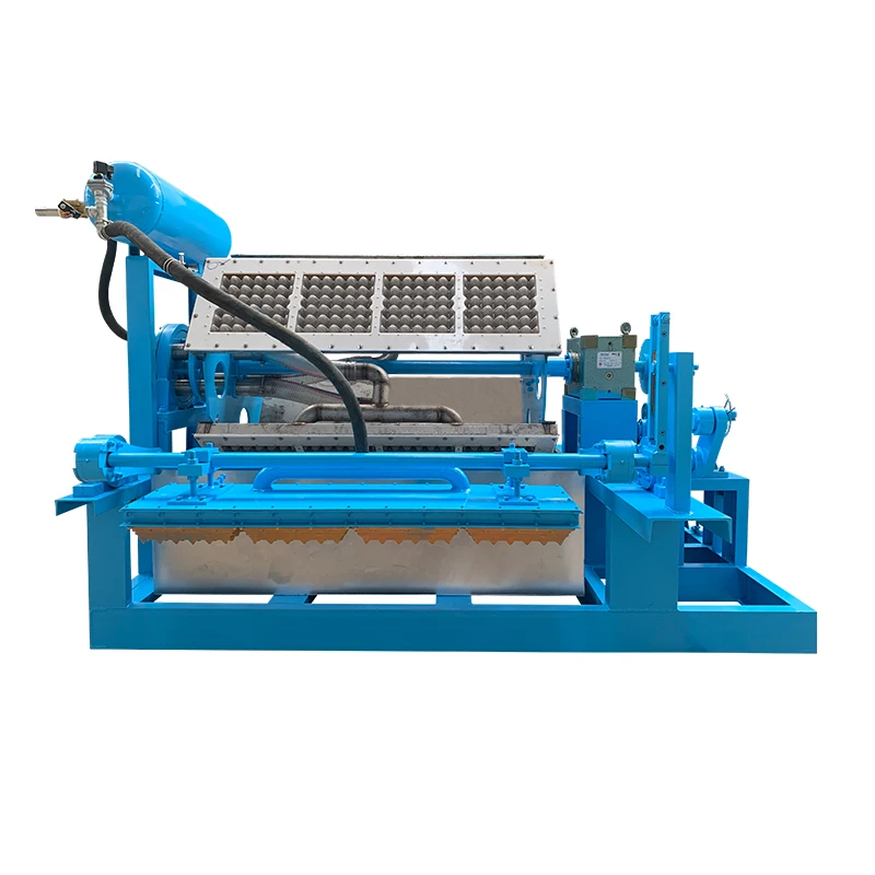 Paper Pulp Egg Box Machine with dryer