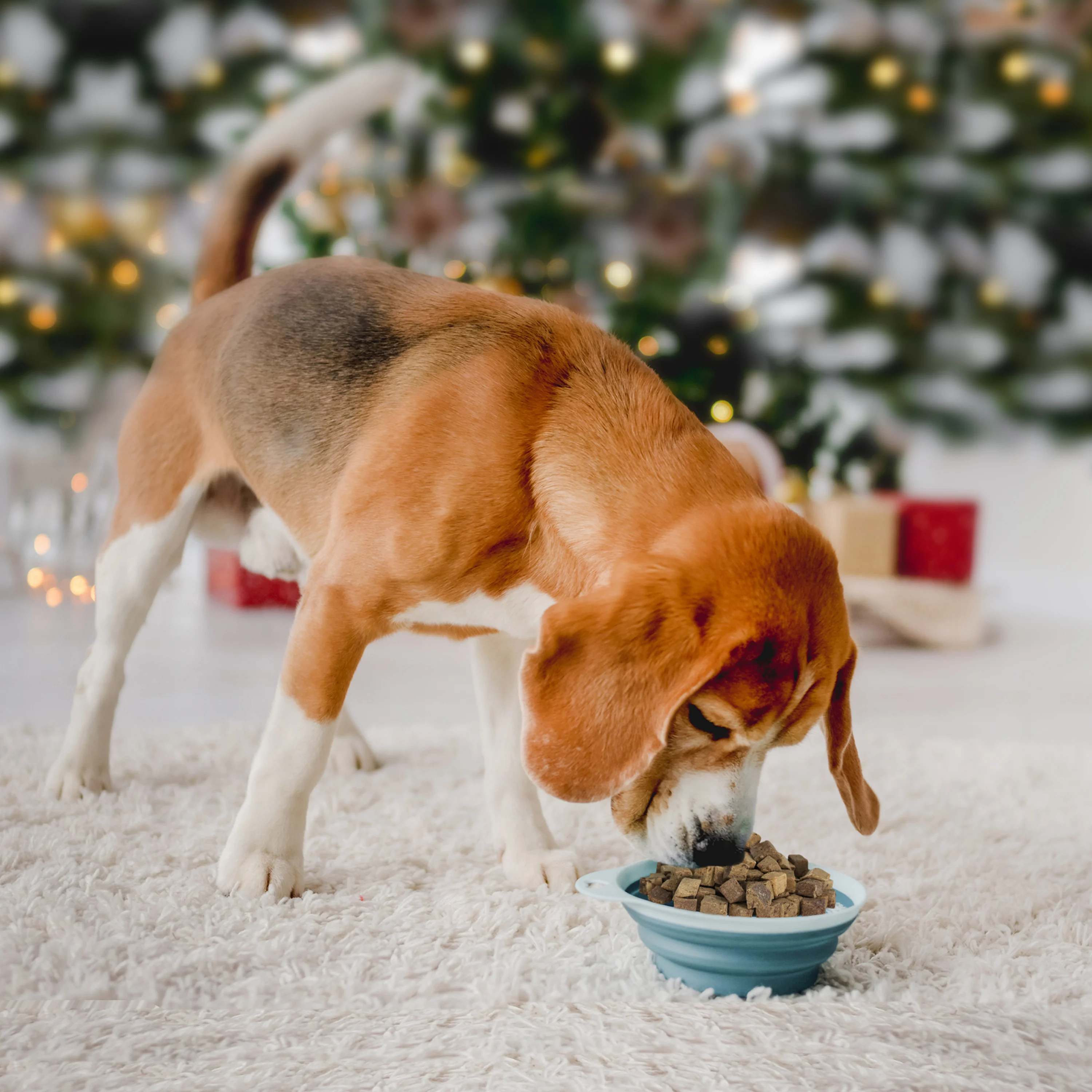 100% натуральный корм для домашних животных сублимированный венсионный собак и кошек гранул печени