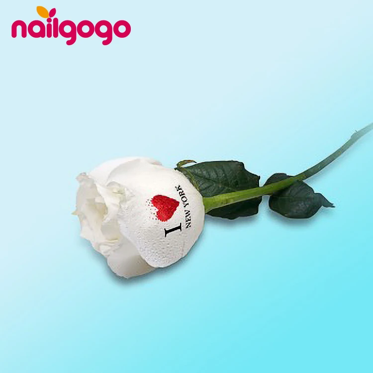 Nailgogo Hot Sale Digital Flower Printer Speaking Rose Printer