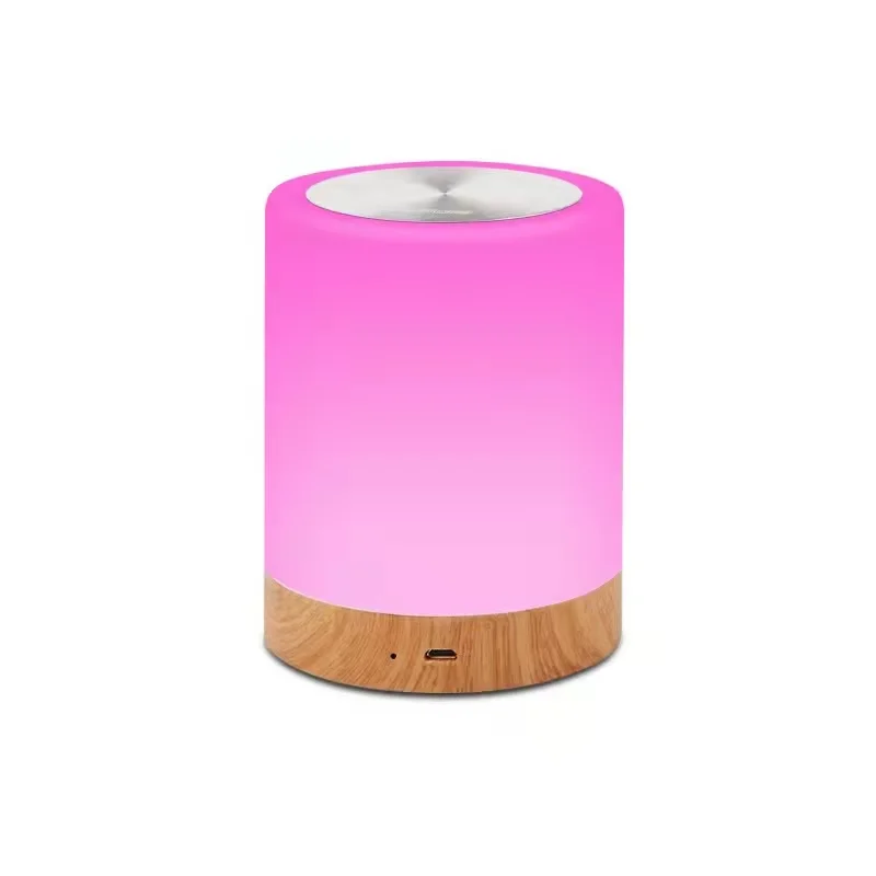 Touch Remote control LED RGB Table Lamp Rechargeable Night Light for Bedside Camping with Hook