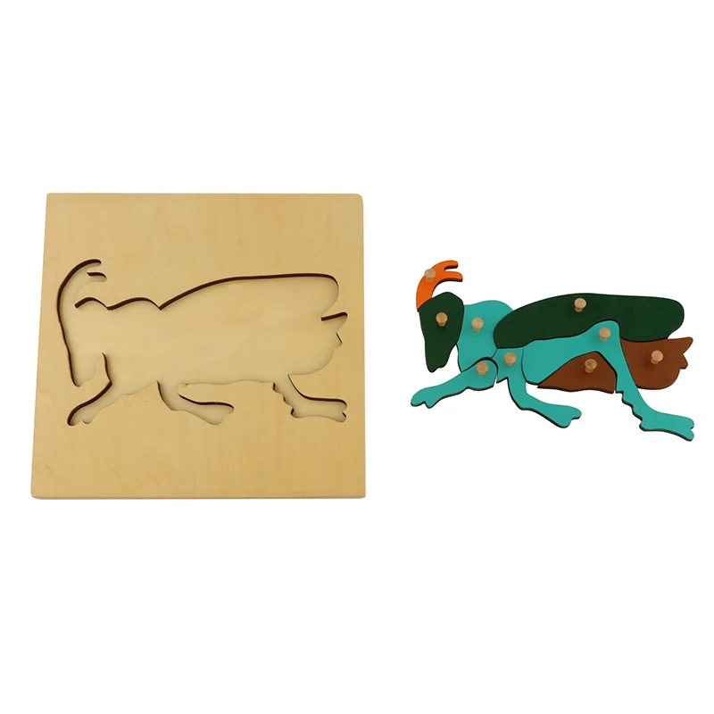 BO022 Mantis Puzzle Montessori Equipment Materials Wooden Educational Toys for Kids Learning