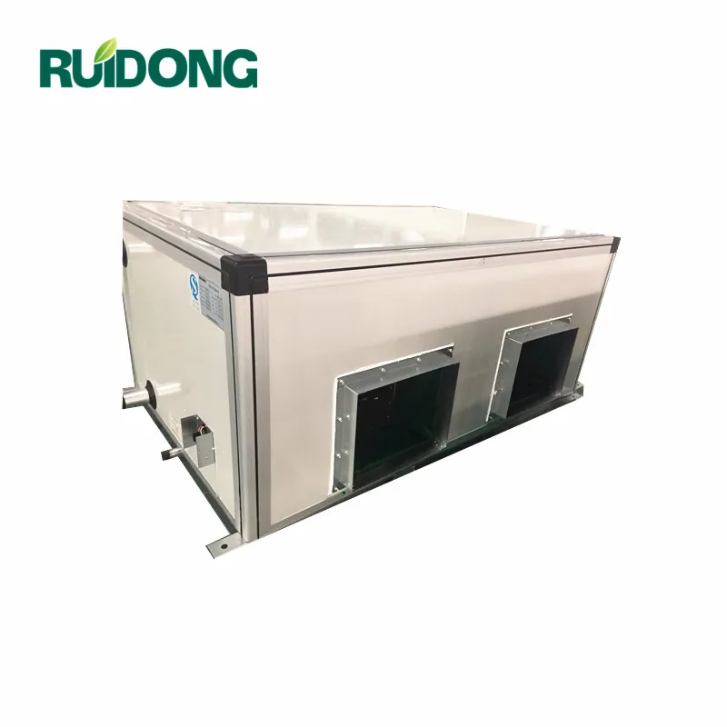 Ruidong Ceiling Type  Industrial air conditioner air handling unit AHU Chiller HVAC system