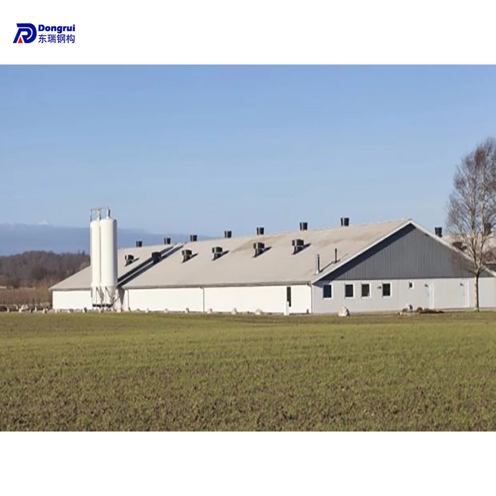 prefab modern houses of chicken poultry house construction