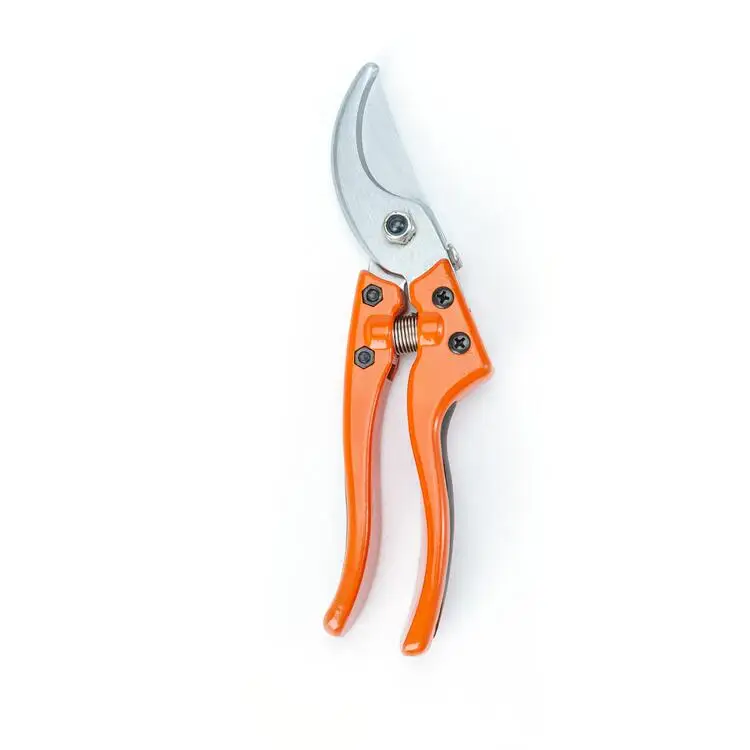 Bonsai Spring Gardening Grape Curved Tree Scissors Pruning Shears 25mm Pruner Garden Scissor Pruning Shears Flower Bonsai Tools