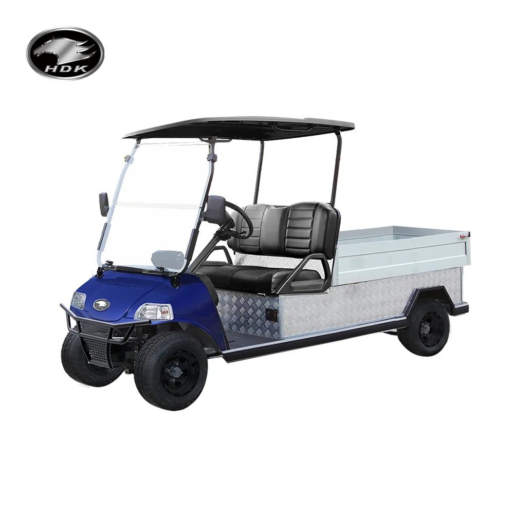 Heavy Duty UTV Buggy Cargo Box Utility Vehicle For Sale HDK EVOLUTION Electric Golf Cart Mini Truck