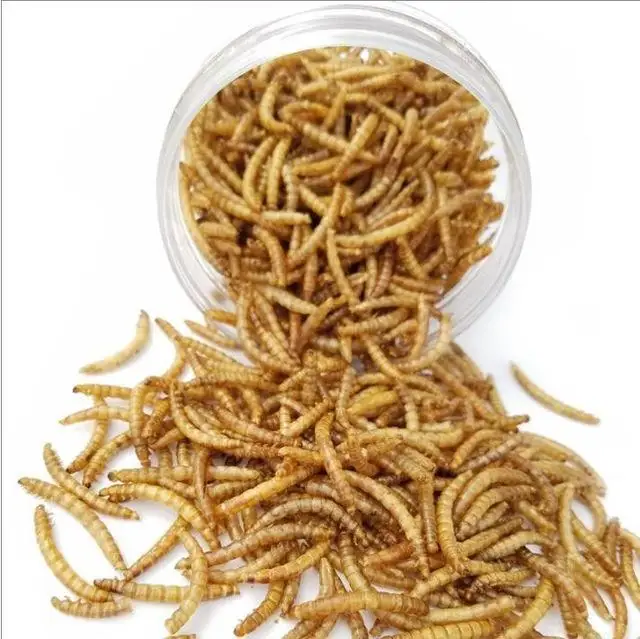 Aquaculture Material Dried Insect Protein Mealworm Wholesale Dried Yellow Mealworms Pet Food Bird Food Feed Hamster Snacks
