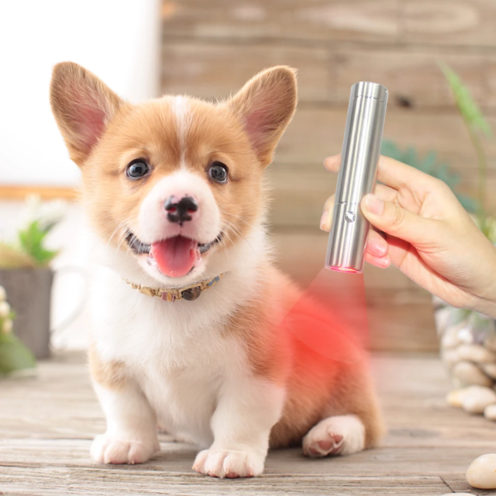 High Power Density Red Light Therapi Pen Good For Pain Infrared Red Light Therapy Torch Far Infrared Led For Home Use