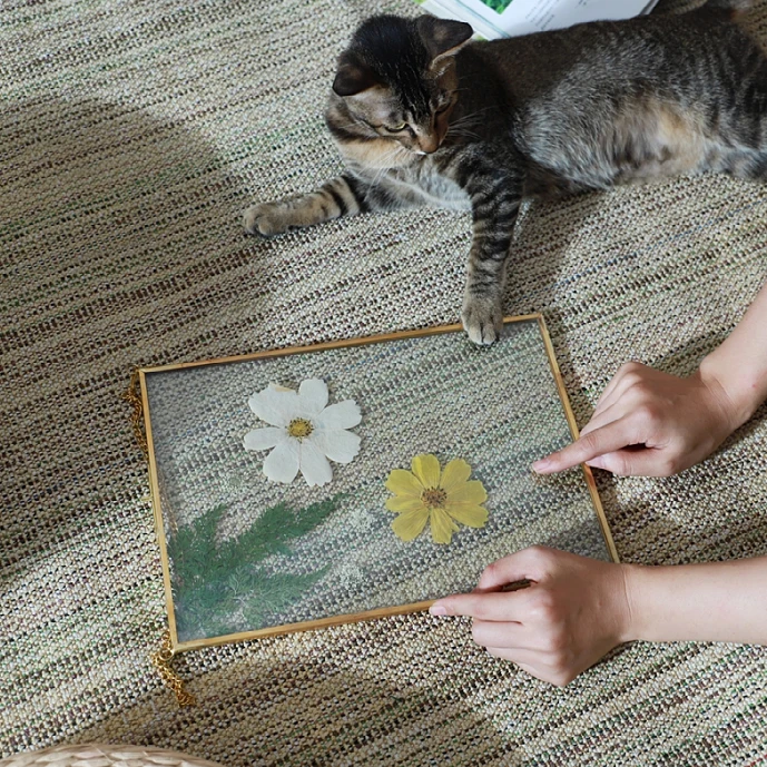 High Quality Glass 4x6 5x7 8x10inch Plant Floating Picture FramesDiy Frames Specimens Frame