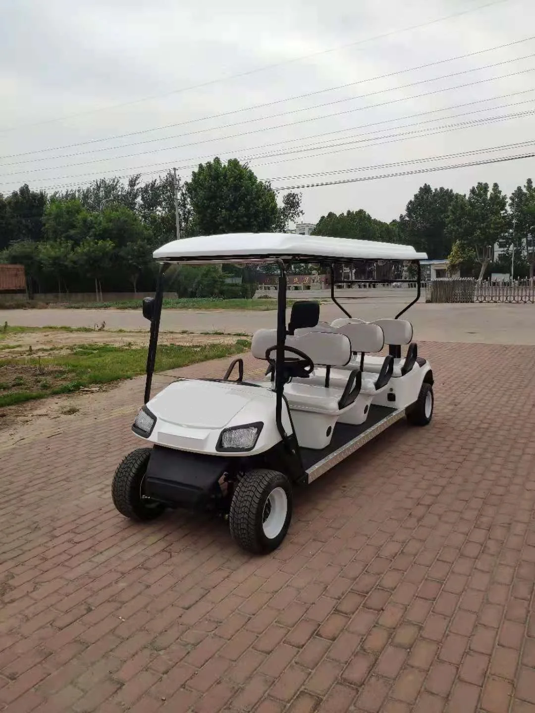 welift factory six  6 seats powered golf cart Push Cart Pull Cart Golf Trolley germany golf trolley 8 seats electric good price