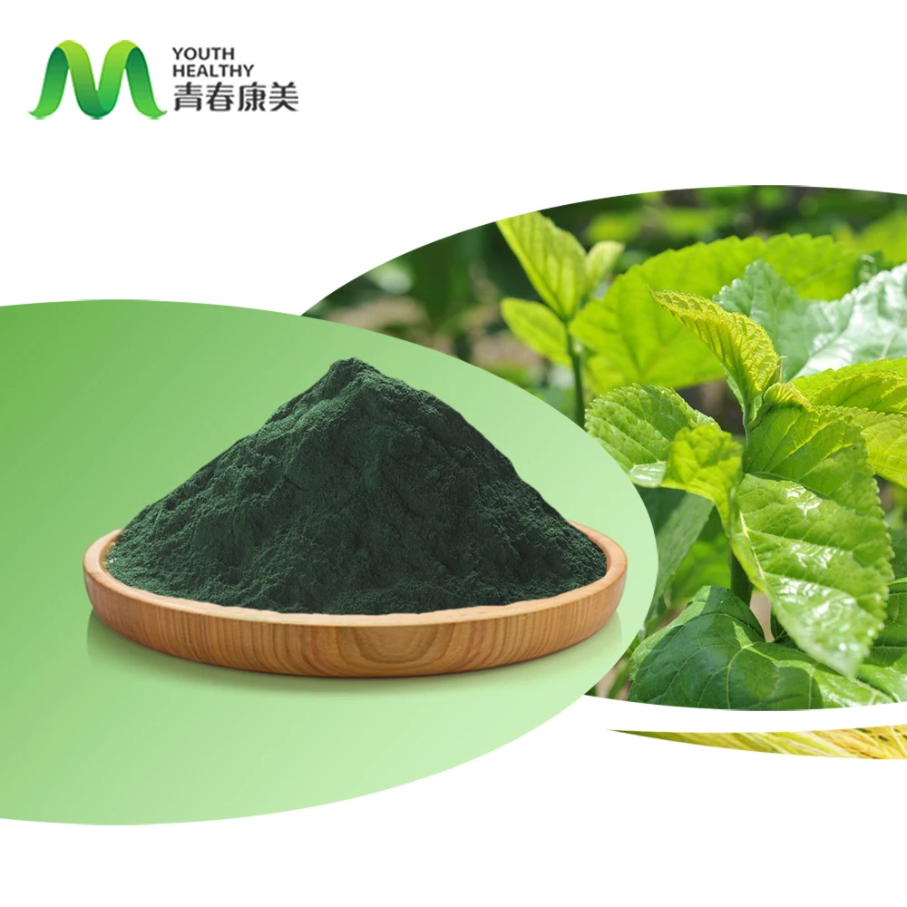 Hot Selling Green Pigment Chlorophyll